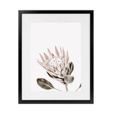 Shop King Protea Photo Art Print-Botanicals, Florals, Photography, Pink, Portrait, Rectangle, View All, White-framed poster wall decor artwork