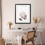 Shop King Protea Photo Art Print-Botanicals, Florals, Photography, Pink, Portrait, Rectangle, View All, White-framed poster wall decor artwork