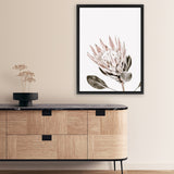 Shop King Protea Photo Canvas Art Print-Botanicals, Florals, Photography, Photography Canvas Prints, Pink, Portrait, Rectangle, View All, White-framed wall decor artwork