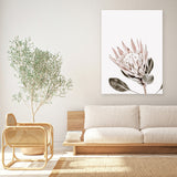Shop King Protea Photo Canvas Art Print-Botanicals, Florals, Photography, Photography Canvas Prints, Pink, Portrait, Rectangle, View All, White-framed wall decor artwork