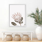 Shop King Protea Photo Canvas Art Print-Botanicals, Florals, Photography, Photography Canvas Prints, Pink, Portrait, Rectangle, View All, White-framed wall decor artwork