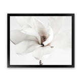 Shop White Magnolia Flower Photo Art Print-Botanicals, Florals, Horizontal, Landscape, Photography, Rectangle, View All, White-framed poster wall decor artwork