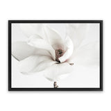 Shop White Magnolia Flower Photo Canvas Art Print-Botanicals, Florals, Horizontal, Landscape, Photography, Photography Canvas Prints, Rectangle, View All, White-framed wall decor artwork
