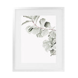 Shop Fiddle-Leaf Fig II Photo Art Print-Botanicals, Florals, Green, Hamptons, Photography, Portrait, View All, White-framed poster wall decor artwork