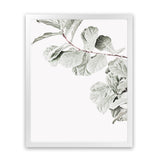 Shop Fiddle-Leaf Fig II Photo Art Print-Botanicals, Florals, Green, Hamptons, Photography, Portrait, View All, White-framed poster wall decor artwork