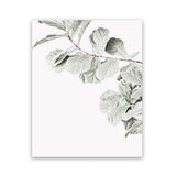 Shop Fiddle-Leaf Fig II Photo Art Print-Botanicals, Florals, Green, Hamptons, Photography, Portrait, View All, White-framed poster wall decor artwork