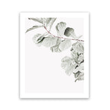 Shop Fiddle-Leaf Fig II Photo Art Print-Botanicals, Florals, Green, Hamptons, Photography, Portrait, View All, White-framed poster wall decor artwork