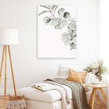Shop Fiddle-Leaf Fig II Photo Canvas Art Print-Botanicals, Florals, Green, Hamptons, Photography, Photography Canvas Prints, Portrait, View All, White-framed wall decor artwork