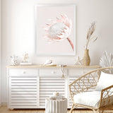 Shop Pastel Protea I Photo Art Print-Botanicals, Florals, Photography, Pink, Portrait, Rectangle, View All-framed poster wall decor artwork
