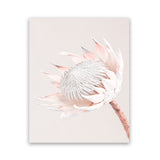 Shop Pastel Protea I Photo Art Print-Botanicals, Florals, Photography, Pink, Portrait, Rectangle, View All-framed poster wall decor artwork
