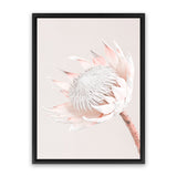 Shop Pastel Protea I Photo Canvas Art Print-Botanicals, Florals, Photography, Photography Canvas Prints, Pink, Portrait, Rectangle, View All-framed wall decor artwork