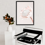 Shop Pastel Protea I Photo Canvas Art Print-Botanicals, Florals, Photography, Photography Canvas Prints, Pink, Portrait, Rectangle, View All-framed wall decor artwork
