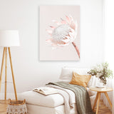 Shop Pastel Protea I Photo Canvas Art Print-Botanicals, Florals, Photography, Photography Canvas Prints, Pink, Portrait, Rectangle, View All-framed wall decor artwork