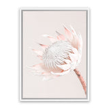 Shop Pastel Protea I Photo Canvas Art Print-Botanicals, Florals, Photography, Photography Canvas Prints, Pink, Portrait, Rectangle, View All-framed wall decor artwork