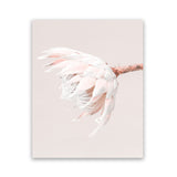 Shop Pastel Protea II Photo Art Print-Botanicals, Florals, Photography, Pink, Portrait, Rectangle, View All-framed poster wall decor artwork