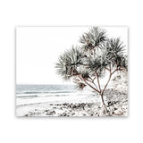 Shop Noosa I Photo Art Print-Boho, Coastal, Green, Landscape, Photography, Tropical, View All, White-framed poster wall decor artwork
