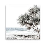Shop Noosa I (Square) Photo Art Print-Boho, Botanicals, Coastal, Green, Photography, Square, Tropical, View All, White-framed poster wall decor artwork