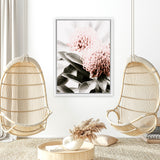 Shop Waratah Flowers II Photo Canvas Print-Botanicals, Florals, Hamptons, Nature, Photography Canvas Prints, Pink, Portrait, View All-framed wall decor artwork