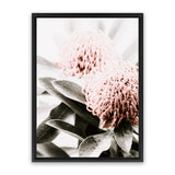 Shop Waratah Flowers II Photo Canvas Print-Botanicals, Florals, Hamptons, Nature, Photography Canvas Prints, Pink, Portrait, View All-framed wall decor artwork