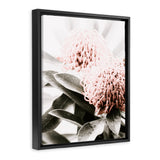 Shop Waratah Flowers II Photo Canvas Print-Botanicals, Florals, Hamptons, Nature, Photography Canvas Prints, Pink, Portrait, View All-framed wall decor artwork