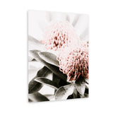 Shop Waratah Flowers II Photo Canvas Print-Botanicals, Florals, Hamptons, Nature, Photography Canvas Prints, Pink, Portrait, View All-framed wall decor artwork