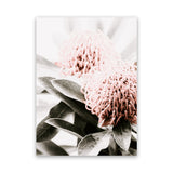Shop Waratah Flowers II Photo Canvas Print-Botanicals, Florals, Hamptons, Nature, Photography Canvas Prints, Pink, Portrait, View All-framed wall decor artwork