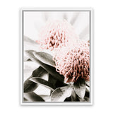 Shop Waratah Flowers II Photo Canvas Print-Botanicals, Florals, Hamptons, Nature, Photography Canvas Prints, Pink, Portrait, View All-framed wall decor artwork