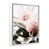 Shop Waratah Flowers II Photo Canvas Print-Botanicals, Florals, Hamptons, Nature, Photography Canvas Prints, Pink, Portrait, View All-framed wall decor artwork