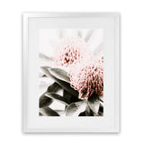 Shop Waratah Flowers II Photo Art Print-Botanicals, Florals, Hamptons, Nature, Photography, Pink, Portrait, View All-framed poster wall decor artwork