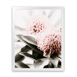 Shop Waratah Flowers II Photo Art Print-Botanicals, Florals, Hamptons, Nature, Photography, Pink, Portrait, View All-framed poster wall decor artwork
