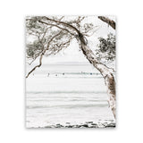Shop Tea Tree Bay I Photo Art Print-Botanicals, Coastal, Hamptons, Neutrals, Photography, Portrait, View All-framed poster wall decor artwork
