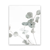 Shop Eucalyptus I Photo Art Print-Botanicals, Florals, Green, Photography, Portrait, View All, White-framed poster wall decor artwork