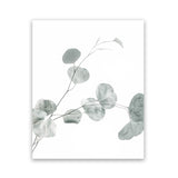 Shop Eucalyptus II Photo Art Print-Botanicals, Green, Photography, Portrait, View All, White-framed poster wall decor artwork