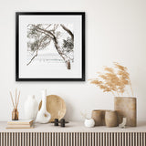 Shop Tea Tree Bay (Square) Photo Art Print-Botanicals, Coastal, Green, Hamptons, Photography, Square, Tropical, View All, White-framed poster wall decor artwork