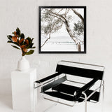 Shop Tea Tree Bay (Square) Photo Art Print-Botanicals, Coastal, Green, Hamptons, Photography, Square, Tropical, View All, White-framed poster wall decor artwork