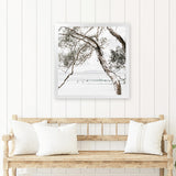 Shop Tea Tree Bay (Square) Photo Art Print-Botanicals, Coastal, Green, Hamptons, Photography, Square, Tropical, View All, White-framed poster wall decor artwork