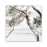 Shop Tea Tree Bay (Square) Photo Art Print-Botanicals, Coastal, Green, Hamptons, Photography, Square, Tropical, View All, White-framed poster wall decor artwork
