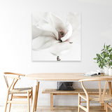 Shop White Magnolia (Square) Photo Canvas Art Print-Florals, Hamptons, Photography Canvas Prints, Square, View All, White-framed wall decor artwork