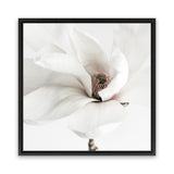 Shop White Magnolia (Square) Photo Canvas Art Print-Florals, Hamptons, Photography Canvas Prints, Square, View All, White-framed wall decor artwork