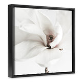 Shop White Magnolia (Square) Photo Canvas Art Print-Florals, Hamptons, Photography Canvas Prints, Square, View All, White-framed wall decor artwork
