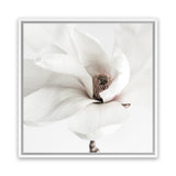 Shop White Magnolia (Square) Photo Canvas Art Print-Florals, Hamptons, Photography Canvas Prints, Square, View All, White-framed wall decor artwork