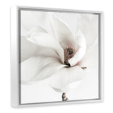 Shop White Magnolia (Square) Photo Canvas Art Print-Florals, Hamptons, Photography Canvas Prints, Square, View All, White-framed wall decor artwork