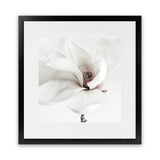 Shop White Magnolia (Square) Photo Art Print-Florals, Hamptons, Photography, Square, View All, White-framed poster wall decor artwork