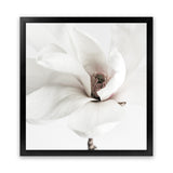 Shop White Magnolia (Square) Photo Art Print-Florals, Hamptons, Photography, Square, View All, White-framed poster wall decor artwork