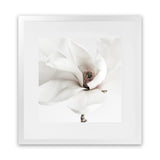 Shop White Magnolia (Square) Photo Art Print-Florals, Hamptons, Photography, Square, View All, White-framed poster wall decor artwork