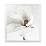 Shop White Magnolia (Square) Photo Art Print-Florals, Hamptons, Photography, Square, View All, White-framed poster wall decor artwork