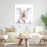 Shop Koala (Square) Photo Canvas Art Print-Animals, Baby Nursery, Grey, Photography Canvas Prints, Square, View All, White-framed wall decor artwork