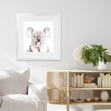 Shop Koala (Square) Photo Art Print-Animals, Baby Nursery, Grey, Photography, Square, View All, White-framed poster wall decor artwork