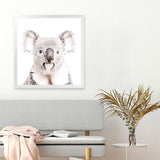 Shop Koala (Square) Photo Art Print-Animals, Baby Nursery, Grey, Photography, Square, View All, White-framed poster wall decor artwork