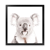 Shop Koala (Square) Photo Art Print-Animals, Baby Nursery, Grey, Photography, Square, View All, White-framed poster wall decor artwork